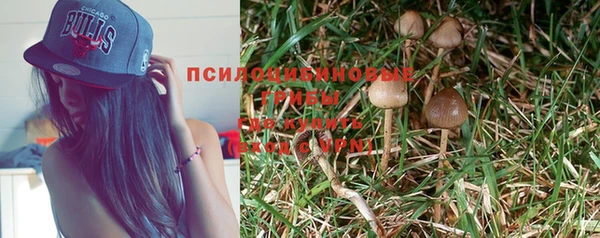 прущие грибы Алексин