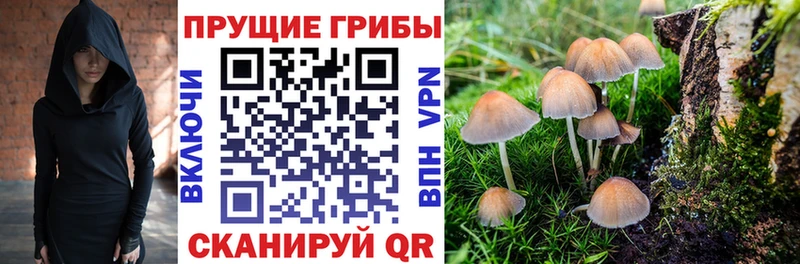 Псилоцибиновые грибы GOLDEN TEACHER  дарнет шоп  Сафоново 
